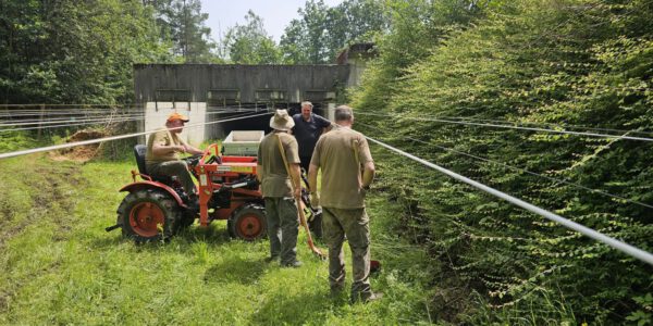 Arbeitseinsatz